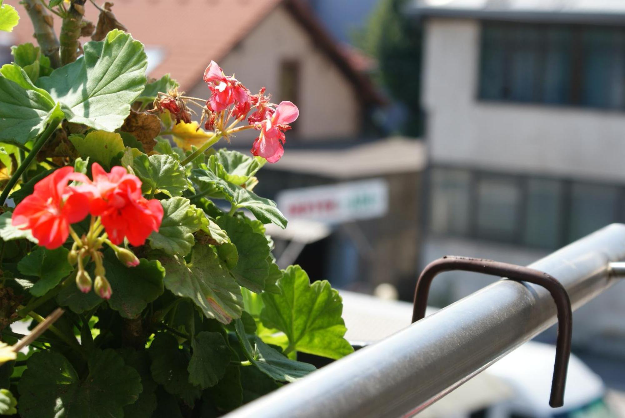 Hotel Ada - Otoka Szarajevó Szoba fotó